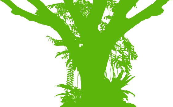 Tree in the Forest or Jungle Silhouette for Art Illustration, Background, or Graphic Design Element. Format PNG