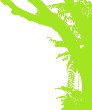 Tree in the Forest or Jungle Silhouette for Art Illustration, Background, or Graphic Design Element. Format PNG