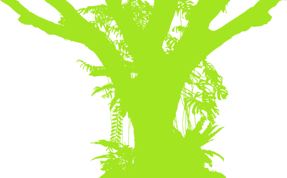 Tree in the Forest or Jungle Silhouette for Art Illustration, Background, or Graphic Design Element. Format PNG