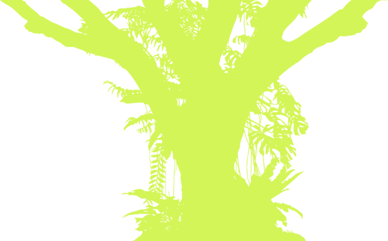 Tree in the Forest or Jungle Silhouette for Art Illustration, Background, or Graphic Design Element. Format PNG