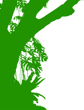 Tree in the Forest or Jungle Silhouette for Art Illustration, Background, or Graphic Design Element. Format PNG