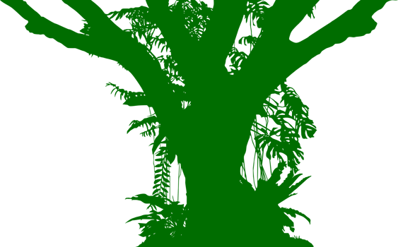 Tree in the Forest or Jungle Silhouette for Art Illustration, Background, or Graphic Design Element. Format PNG