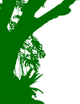 Tree in the Forest or Jungle Silhouette for Art Illustration, Background, or Graphic Design Element. Format PNG