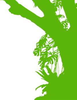 Tree in the Forest or Jungle Silhouette for Art Illustration, Background, or Graphic Design Element. Format PNG