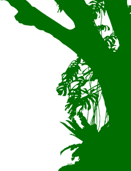 Tree in the Forest or Jungle Silhouette for Art Illustration, Background, or Graphic Design Element. Format PNG