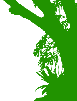 Tree in the Forest or Jungle Silhouette for Art Illustration, Background, or Graphic Design Element. Format PNG