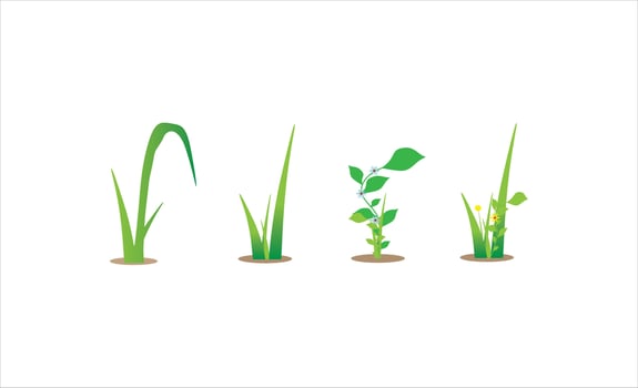 set of grass illustration vector design