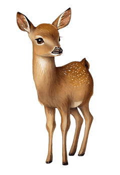 Watercolor drawing of a cute baby deer isolated on transparent background. png