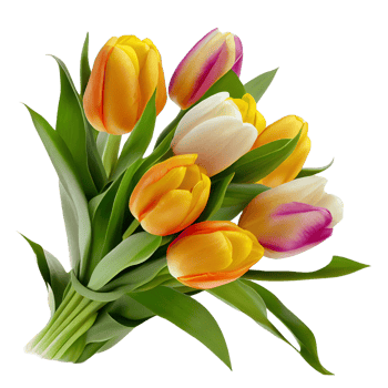 Bouquet of flowers on a transparent background. Floral arrangement. . For stickers, invitations, greeting cards, wedding card, decorations. png