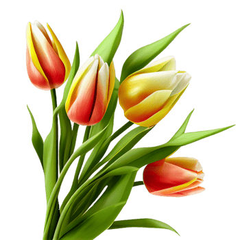 Bouquet of flowers on a transparent background. Floral arrangement. . For stickers, invitations, greeting cards, wedding card, decorations. png