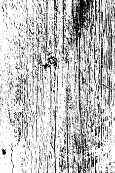 Rustic grunge texture with grain and stains. Abstract noise background. PNG graphic illustration with transparent background.