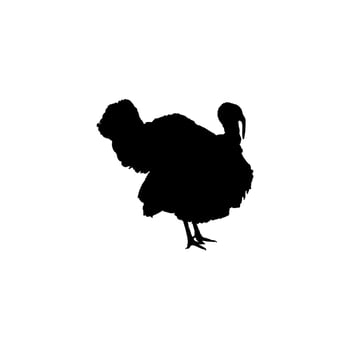 Turkey Silhouette for Art Illustration, Pictogram or Graphic Design Element. The Turkey is a large bird in the genus Meleagris. Vector Illustration