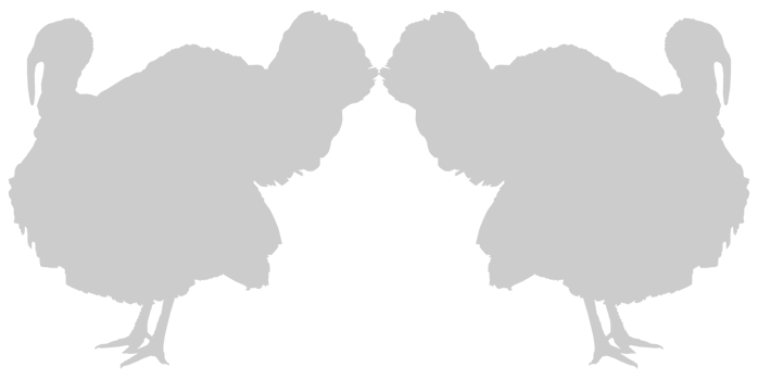 Turkey Silhouette for Art Illustration, Pictogram or Graphic Design Element. The Turkey is a large bird in the genus Meleagris. Format PNG