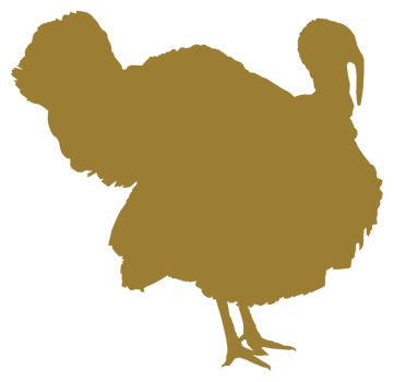 Turkey Silhouette for Art Illustration, Pictogram or Graphic Design Element. The Turkey is a large bird in the genus Meleagris. Format PNG