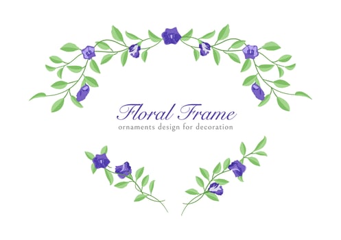 set of Foliage with Butterfly pea floral ornament vector collection