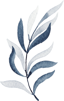 Watercolor leaf illustration png