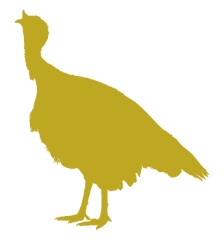 Turkey Silhouette for Art Illustration, Pictogram or Graphic Design Element. The Turkey is a large bird in the genus Meleagris. Format PNG