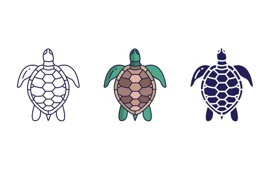 Turtle vector icon