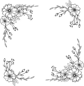 Simple Floral border with hand drawn leaves and flowers png