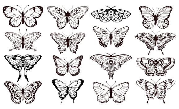 Butterfly silhouettes. Black outline butterflies tattoo graphic, tropical cute insects. Metamorphosis and spring symbols isolated vector set