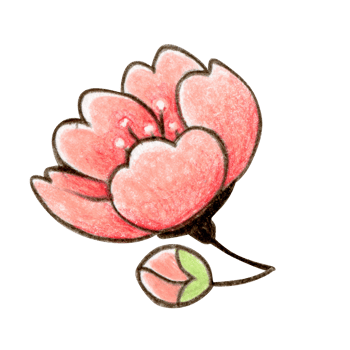 Watercolor cherry blossom decoration png