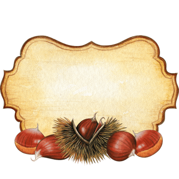 Watercolor hand drawn realistic chestnuts vintage label png
