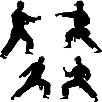 karate icon vector