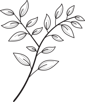 botanical line art png