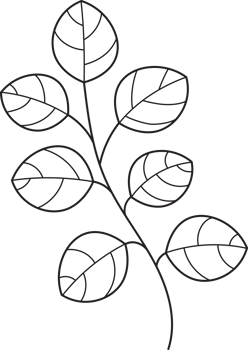 botanical line art png