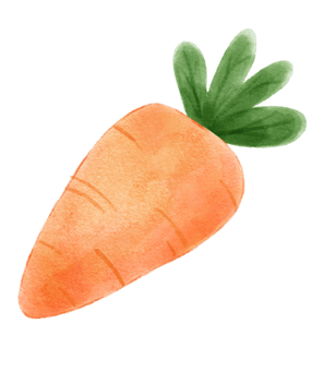 cute orange carrot watercolour fruit hand drawing illustration png