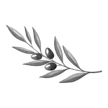 Olives watercolor hand drawn. Monochrome. Sketch art. vector