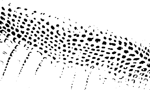 Grunge dots and points texture background. Abstract grainy overlay. PNG graphic illustration with transparent background.