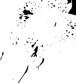 Rustic grunge texture with grain and stains. Abstract noise background. PNG graphic illustration with transparent background.