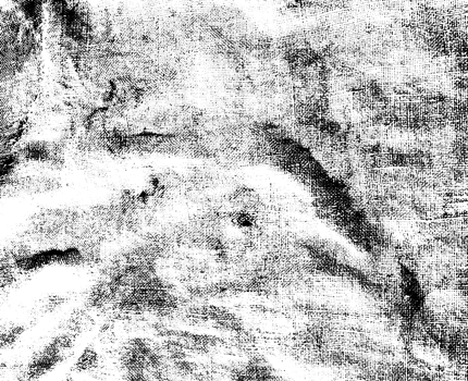 Grunge dots and points texture background. Abstract grainy overlay. PNG graphic illustration with transparent background.