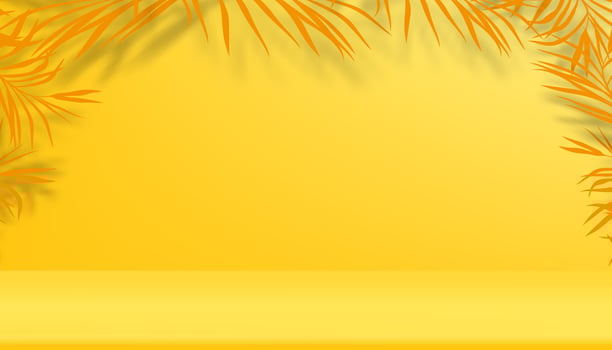 Summer Background,3d Empty Studio room Scene Coconut Palm Leave on Yellow Background,Product Display Tropical leaf with Copy Space,Vector leaves shadow on wall for Summer Vacation,Travel,Sale,Promote vector