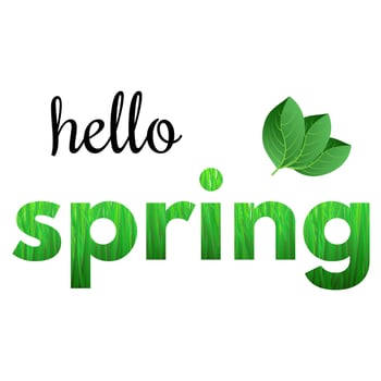 Colorful phrase Hello Spring from grass and with green leaves. vector
