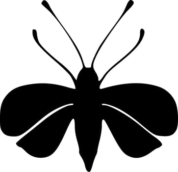 black and white of butterfly icon vector