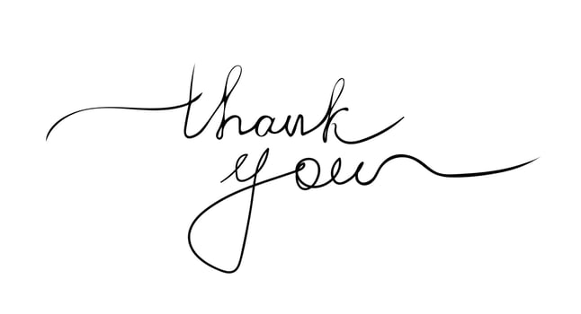 Thank you calligraphy inscription with smooth lines vector