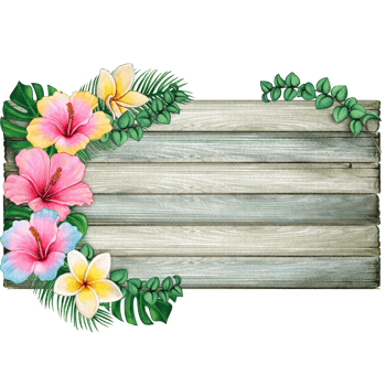 watercolor tropical summer frame png