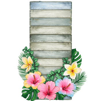 watercolor tropical summer frame png