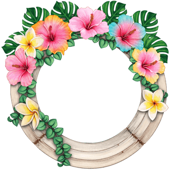 watercolor tropical summer frame png