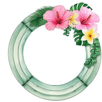 watercolor tropical summer frame png