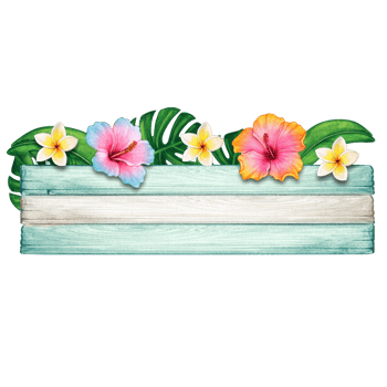 watercolor tropical summer frame png