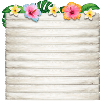 watercolor tropical summer frame png