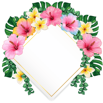 watercolor tropical summer frame png