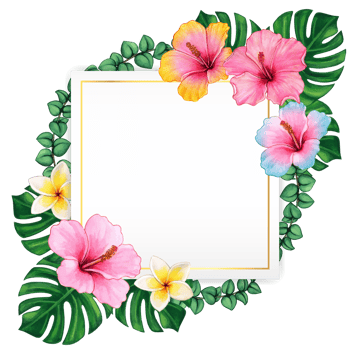 watercolor tropical summer frame png