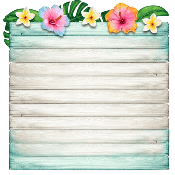 watercolor tropical summer frame png
