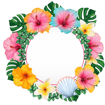 watercolor tropical summer frame png