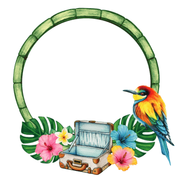 watercolor tropical summer frame png
