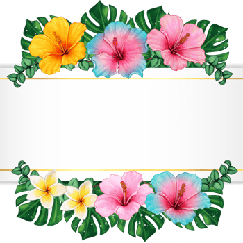 watercolor tropical summer frame png